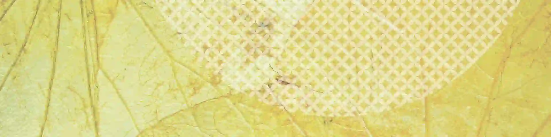 SPRING Feature Image